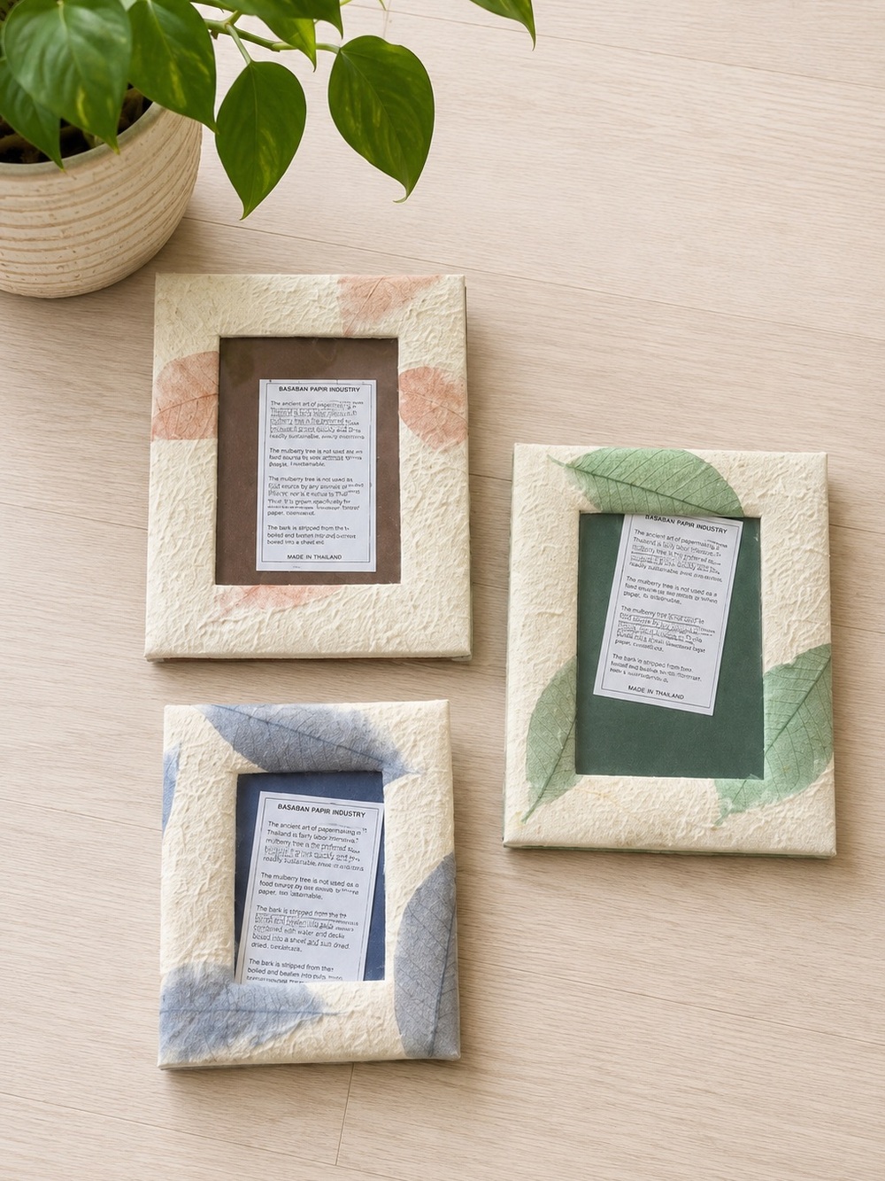 Handmade‎ Thai Puffy Mulberry Paper Frames Cream Floral Botanical Wall Decor Set